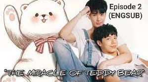 The Miracle Of Teddy Bear