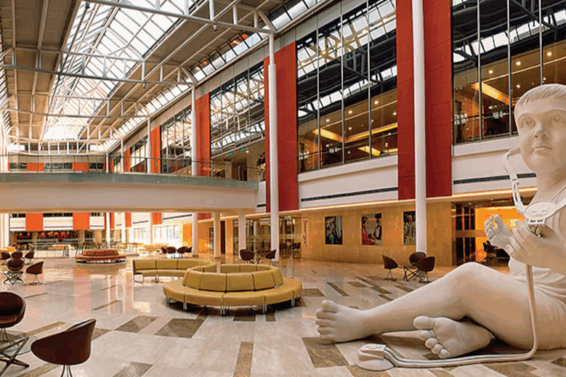 Luxury Hospitals: How VIP Healthcare Works Around the World