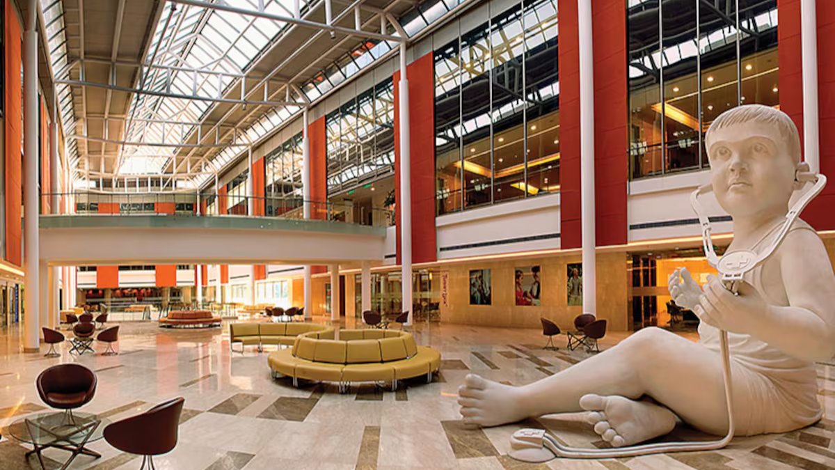 Luxury Hospitals How VIP Healthcare Works Around the World
